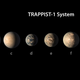 Trappist and its planets